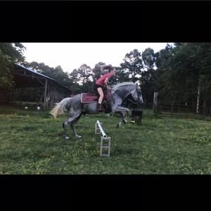 Meet your Posher, Kadi